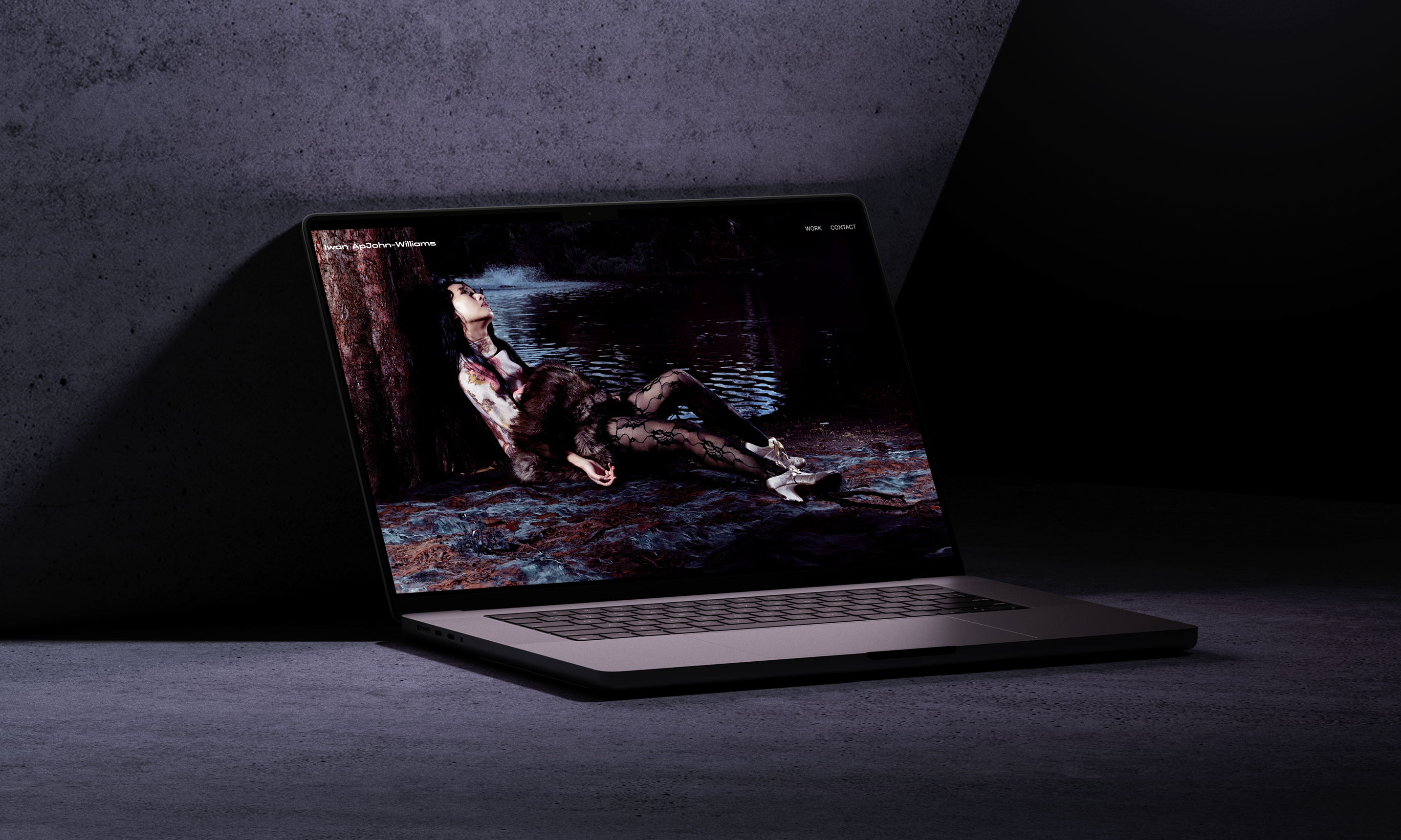 Iwan ApJohn - Williams featured project preview